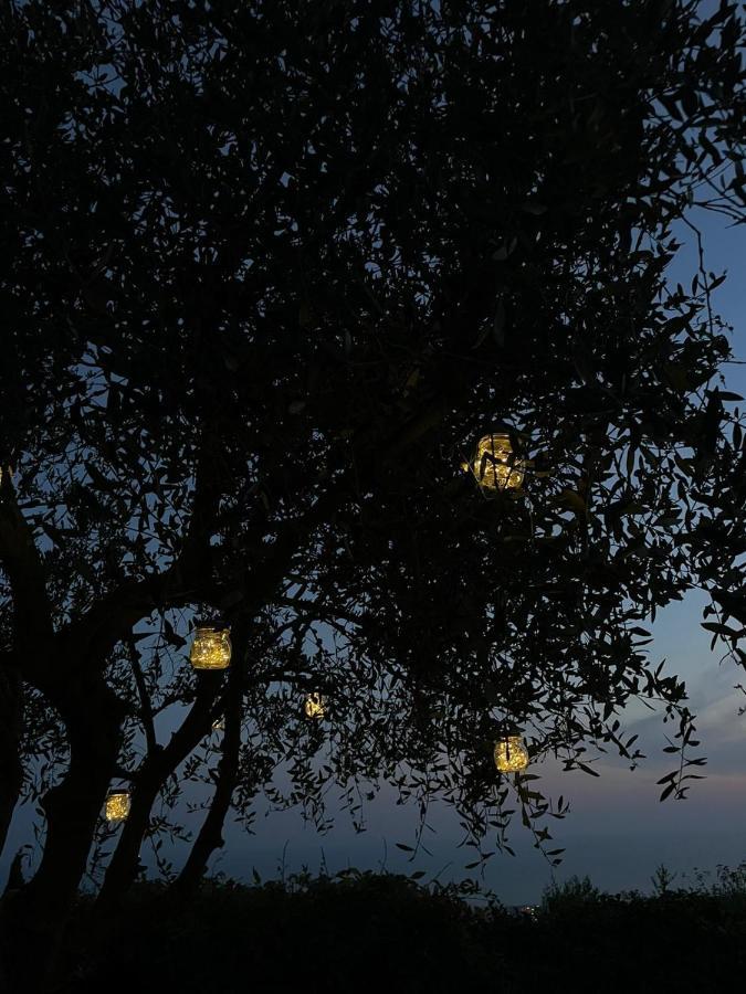 La Terrazza Sulla Versilia Пьетразанта Экстерьер фото